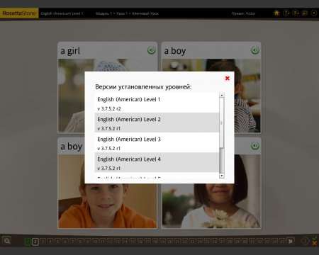 Rosetta Stone English (American) все уровни английского