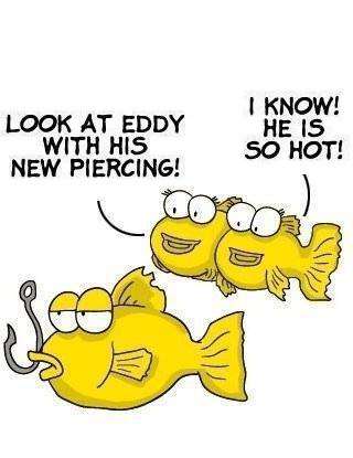 Look at Eddy, with his new piercing. Look at Eddy, with his new piercing.