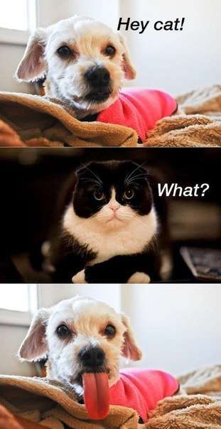 What? What?