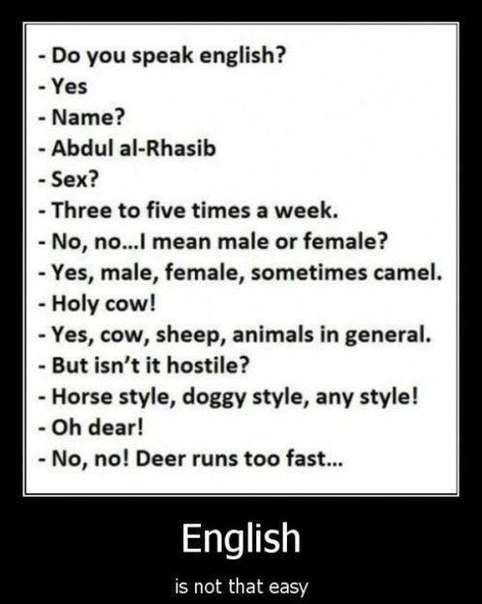 Do you speak english? Do you speak english?