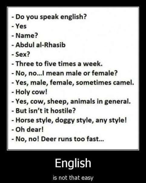 Do you speak english?