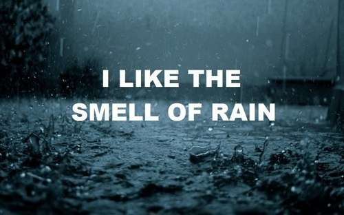 I like the smell of rain