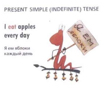 Present Simple Tense или Настоящее Простое Время в английском языке и наречия частотности